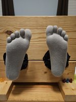 Karma gray toe socks.jpg