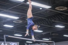 UW-Stout Gymnastics.jpg