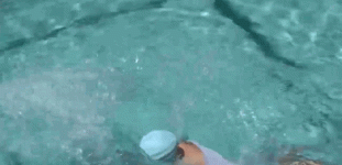 a6vqim.gif
