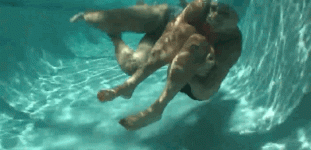 a6vsts.gif