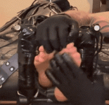 10001.gif