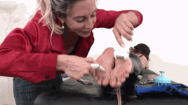 a83el5.gif