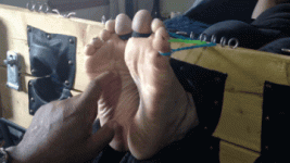 10001.gif
