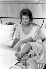 sophia-loren-in-the-1950s-and-1960s-v0-481nugztdvtf1.jpg