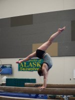 University of Alaska Anchorage Gymnastics Team.jpg