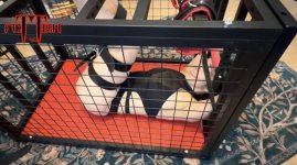 IMG_0595.jpeg