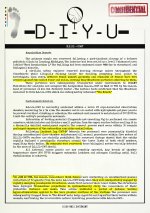 Official Document DIYU - 0067 - The Blueb (Page 2).jpg