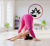 Master Yoga 2.0  1.jpg