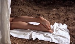 Female Feet 2025.jpg