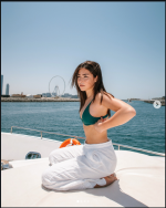 Captura de tela 2025-12-30 190011.png