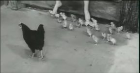 Zrzut ekranu_1-1-2026_132323_www.youtube.com.jpeg