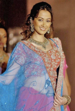 Screenshot 2026-02-11 at 1.03.29 PM.png