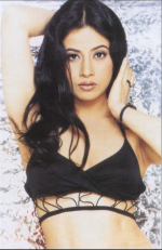 Screenshot 2026-02-12 at 3.43.13 PM.png