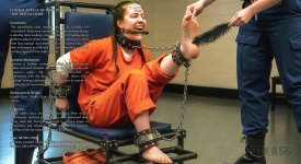 The Twitch Chair.jpg