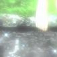 100204276