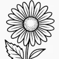royaldaisy