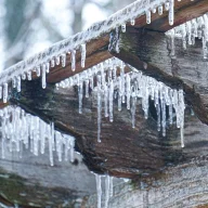 WinterTouch
