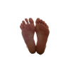 StockNSoleStar