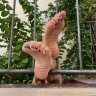SwissFeetADVs