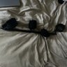 Sadisticler