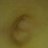 UniSol