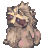 raccoon1