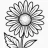royaldaisy