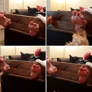 Stocked and lick tickled by my pet doggy!