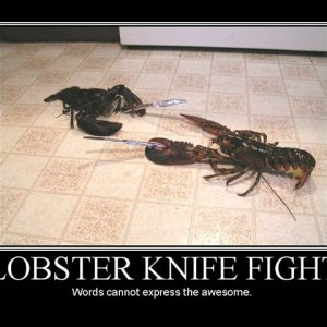 Lobster Knife Fight