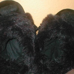 P1010049