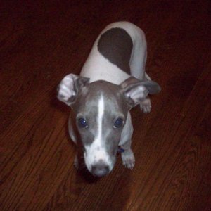 Awww, my little man!