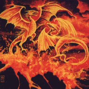 Fire Dragons