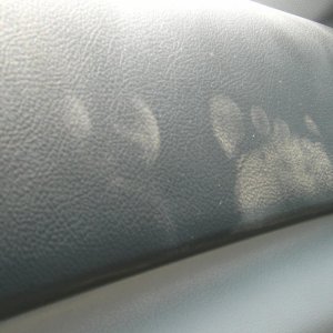 teehee I left my mark