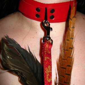 leash and collar = sexiest way to go