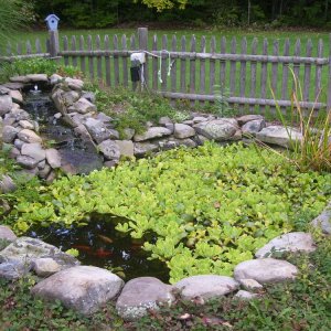 september  january 2009 218