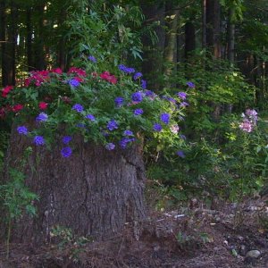 september%20 january%202009%20042