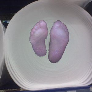 ches rulon porolon feet7