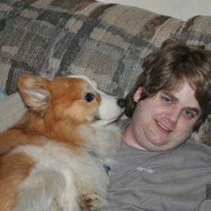 The best part of waking up is Corgi in your lap!