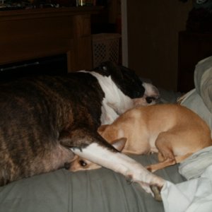 chillin after playin together