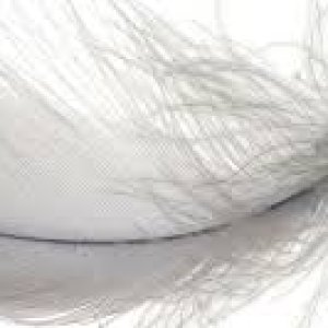 ehttp://www.ticklingforum.com/album.php?albumid=4682&attachmentid=427134