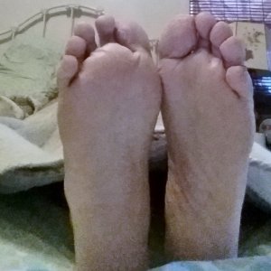 Would you wake me up with a tickle ?