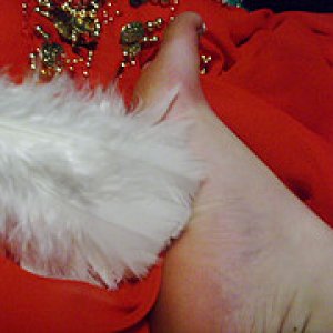 4232643277 2f0827a42c m