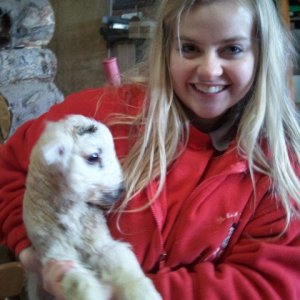 lamby