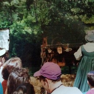 wife in stocks at ren fair