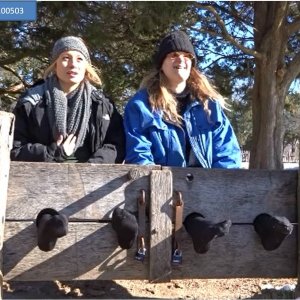 Helpless in the stocks on a winter day