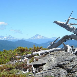 246761 114796208897262 7554543896987852100 n