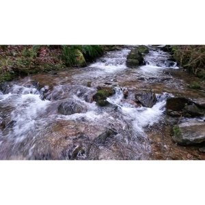 916063 149536388754799 2010345110 n