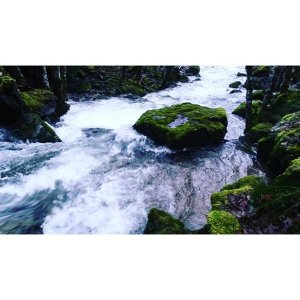 917457 1233227803370723 57757939 n