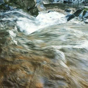 1936520 114799235563626 7938217194658556057 n