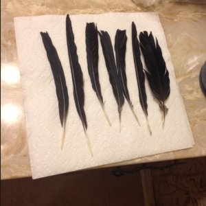 Who can guess the purpose for each of these?
